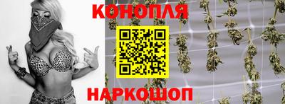гидра Тверь