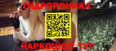 гидра Тверь