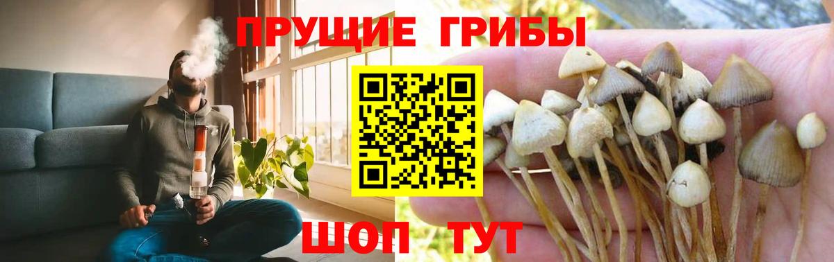 Псилоцибиновые грибы Psilocybine cubensis  Галлюциногенные грибы MAGIC MUSHROOMS  Воткинск  Вход с VPN 